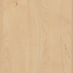 Natural Mandal Maple