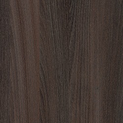 Truffle Brown Branson Robina